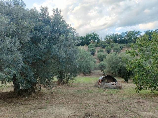 Terreno in vendita a Chieti, Abruzzo
