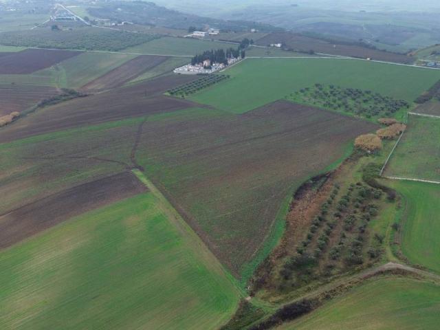 Terreno in vendita a Puglia, Foggia