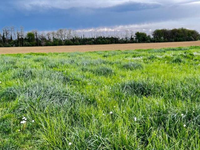 Terreno in vendita a Chignolo D'isola, Lombardia