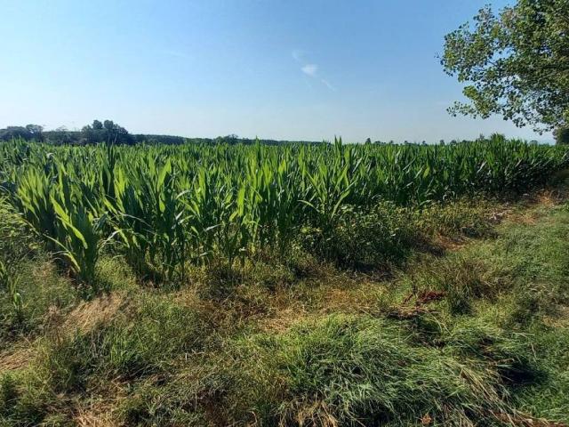 Terreno in vendita a Chignolo Po, Lombardia
