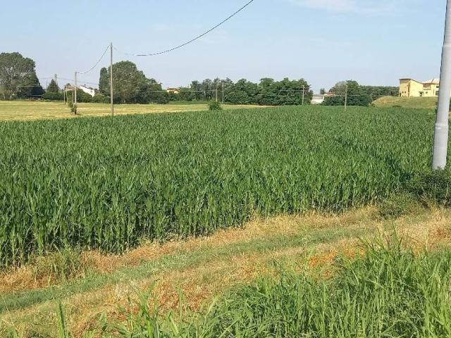 Terreno in vendita a Chignolo Po, Lombardia