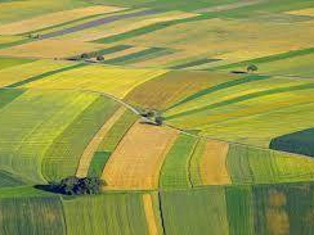 Terreno in vendita a Chioggia, Veneto