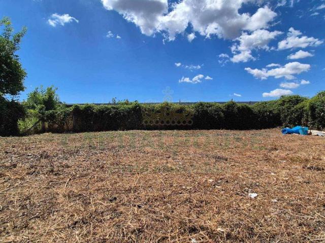 Terreno in vendita a Borgo San Giovanni, Chioggia