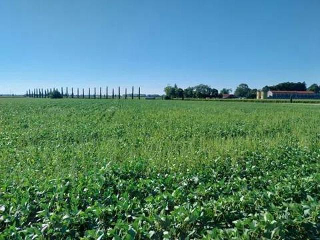 Terreno in vendita a Viscone, Friuli-Venezia Giulia