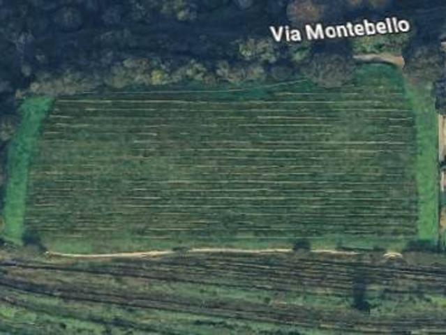 Terreno in vendita a Belvedere, Chiuduno