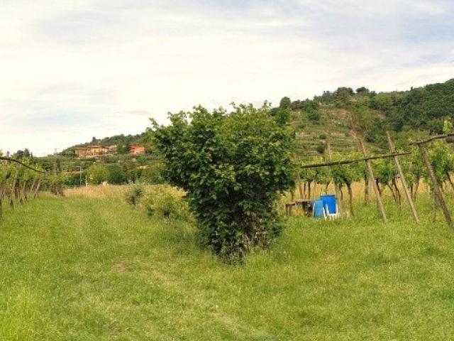 Terreno in vendita a Belvedere, Chiuduno