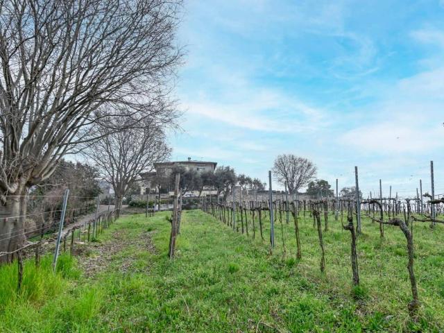 Terreno in vendita a Belvedere, Chiuduno