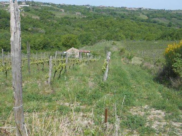 Terreno in vendita a Chiusano San Domenico, Campania
