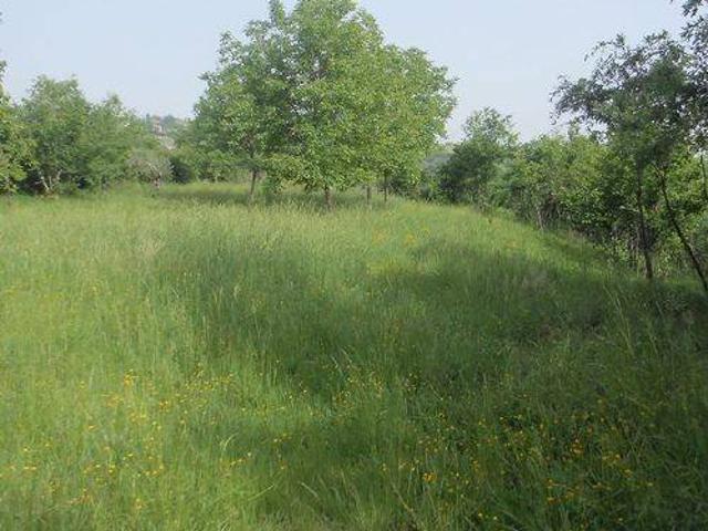 Terreno in vendita a Chiusano San Domenico, Campania