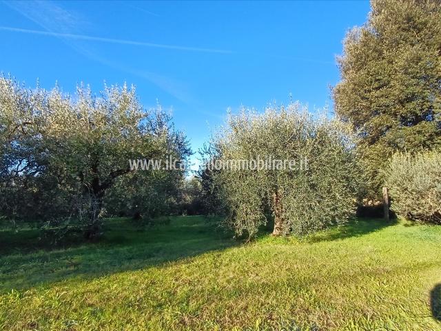 Terreno in vendita a Chiusi Città, Toscana