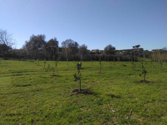 Terreno in vendita a Roma Capitale, Lazio