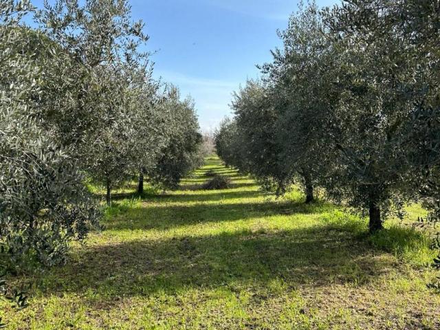 Terreno in vendita a Roma Capitale, Lazio