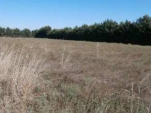 Terreno in vendita a Roma Capitale, Lazio