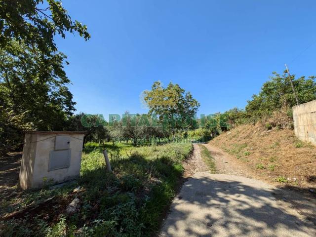 Terreno in vendita a Cicciano, Campania