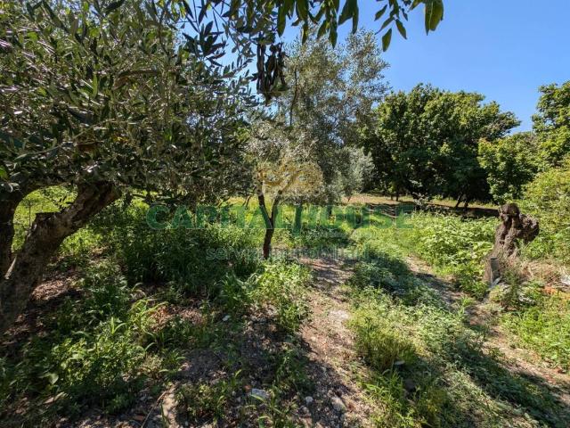 Terreno in vendita a Cicciano, Campania
