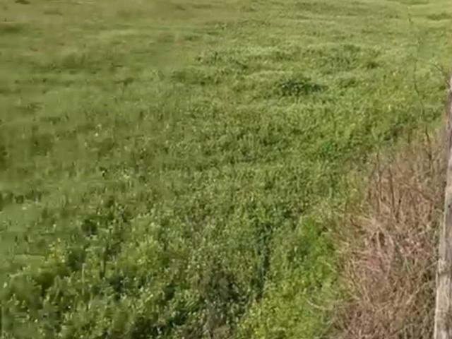 Terreno in vendita a Cicciano, Campania