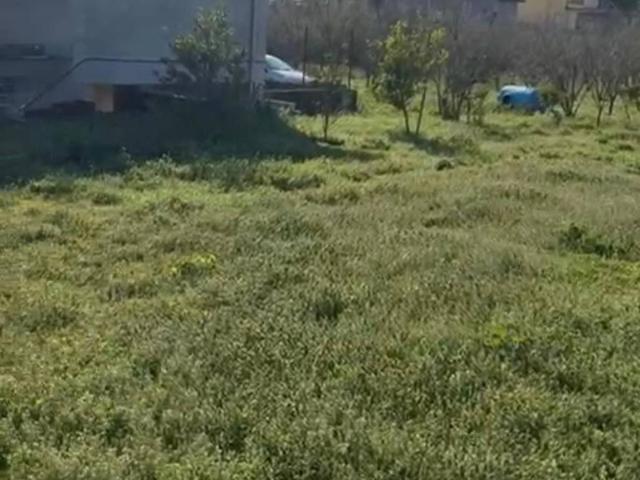 Terreno in vendita a Cicciano, Campania