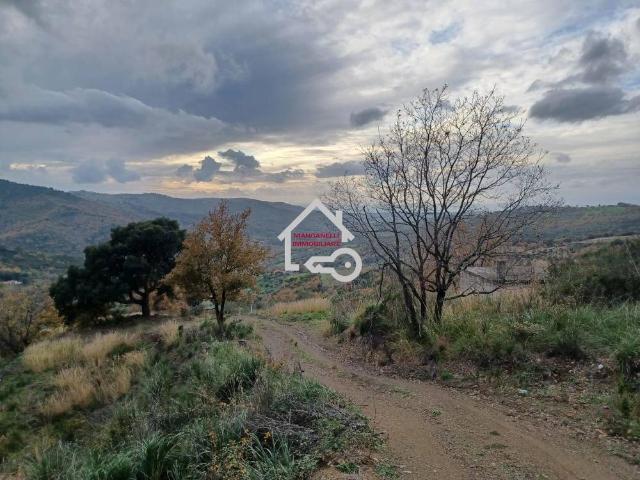 Terreno in vendita a Cicerale, Campania