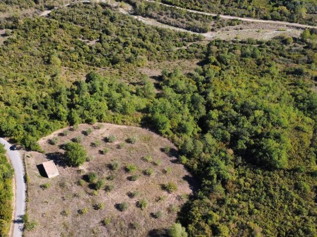 Terreno in vendita a Cicerale, Salerno
