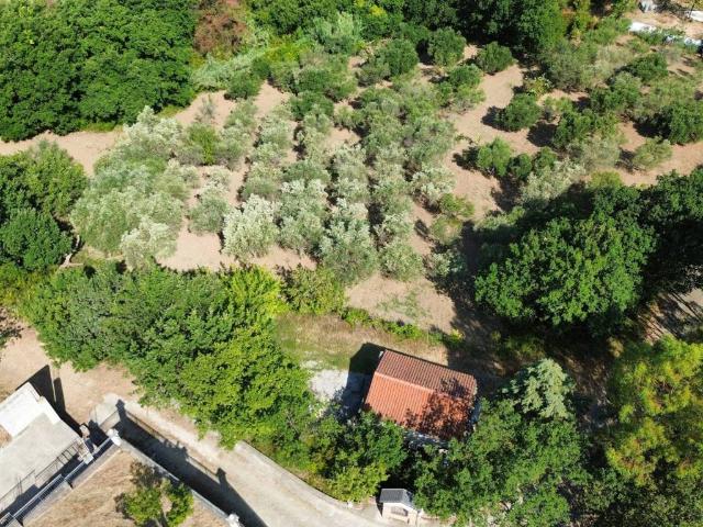 Terreno in vendita a Cicerale, Campania