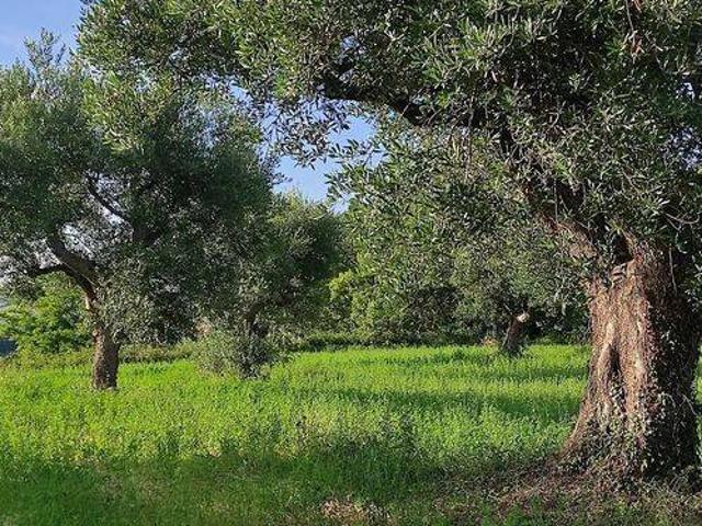 Terreno in vendita a Marche, Macerata