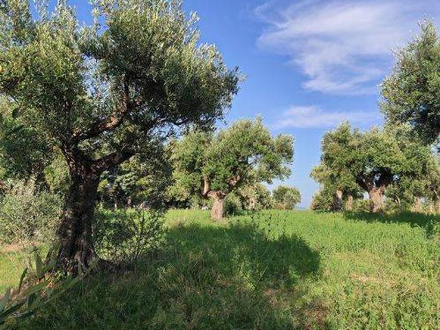 Terreno in vendita a Marche, Macerata