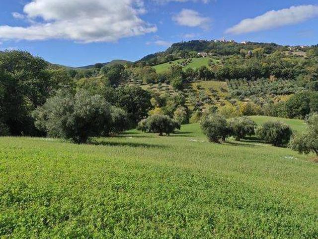 Terreno in vendita a Marche, Macerata