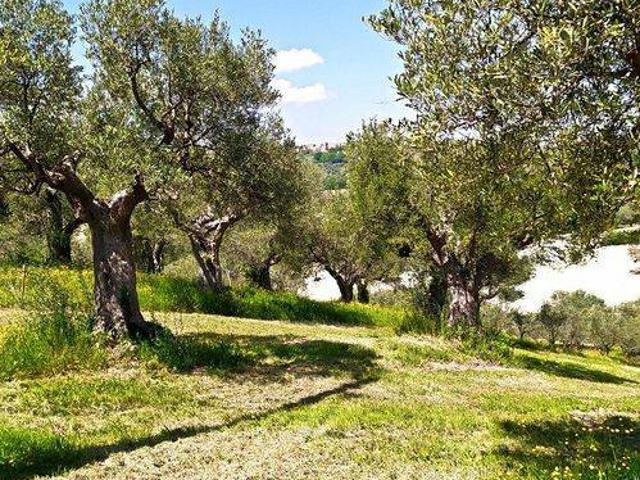 Terreno in vendita a Strada, Marche