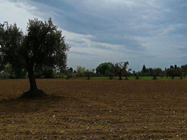 Terreno in vendita a Marche, Macerata