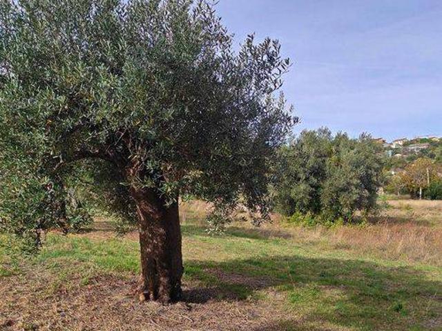 Terreno in vendita a Marche, Macerata