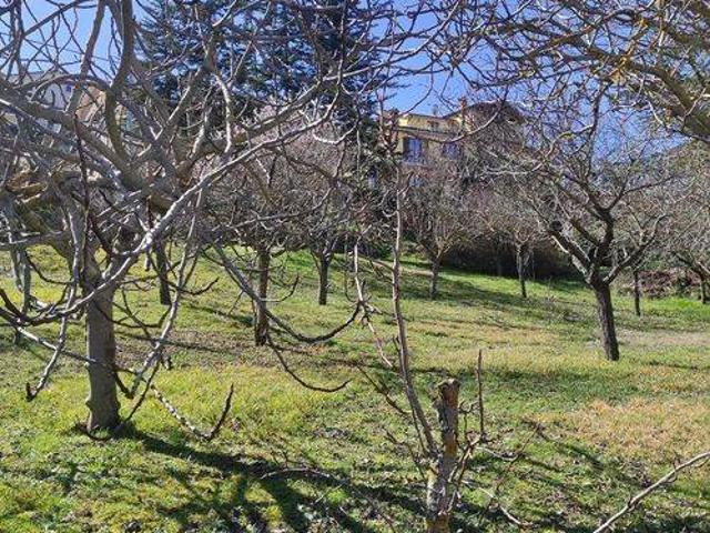 Terreno in vendita a Marche, Macerata