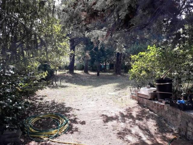 Terreno in vendita a Pozzo, Marche