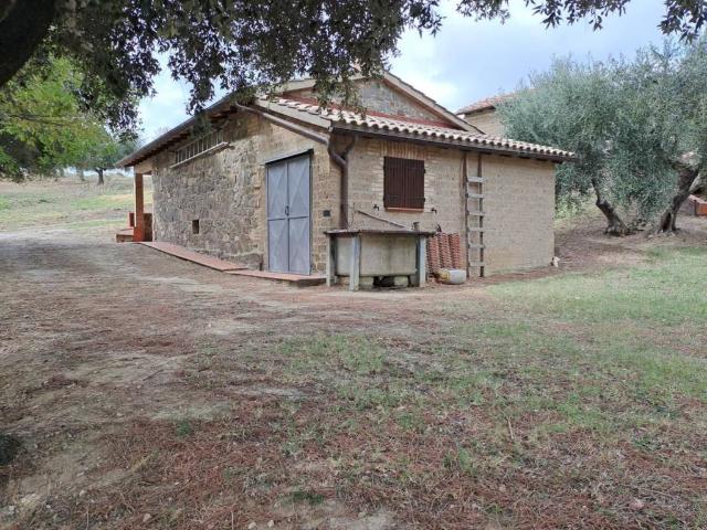 Terreno in vendita a Cinigiano, Grosseto