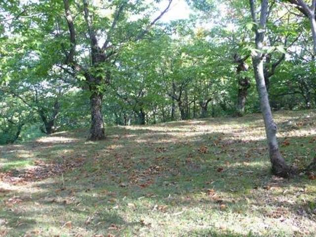 Terreno in vendita a Cinigiano, Toscana