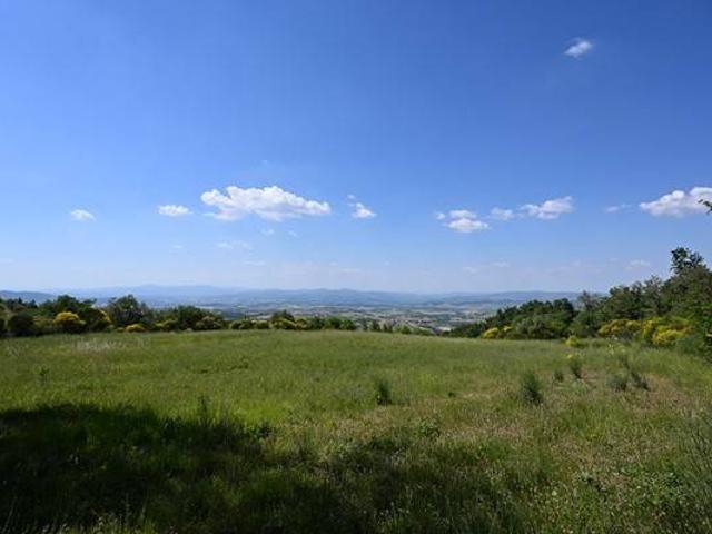 Terreno in vendita a Cinigiano, Toscana