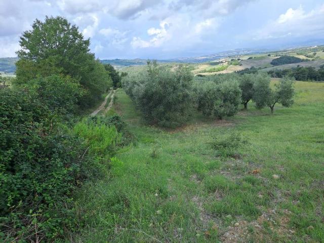 Terreno in vendita a Cinigiano, Grosseto