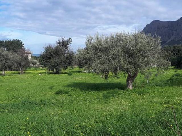 Terreno in vendita a Cinisi, Sicilia