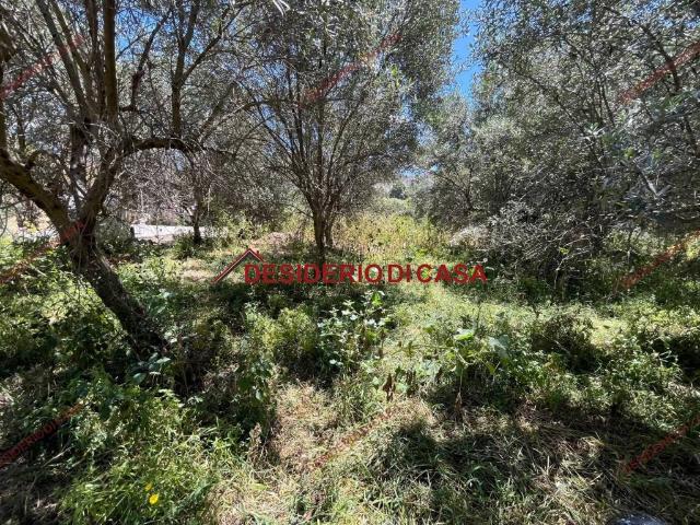 Terreno in vendita a Cinisi, Sicilia
