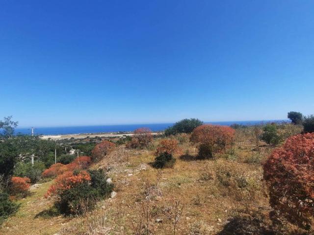 Terreno in vendita a Cinisi, Sicilia