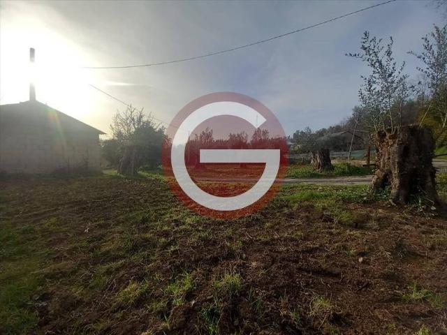 Terreno in vendita a Calabria, Reggio Calabria
