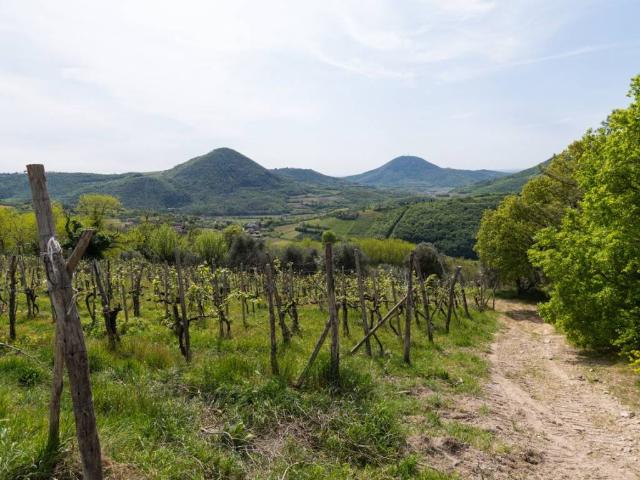 Terreno in vendita a Cinto Euganeo, Valnogaredo