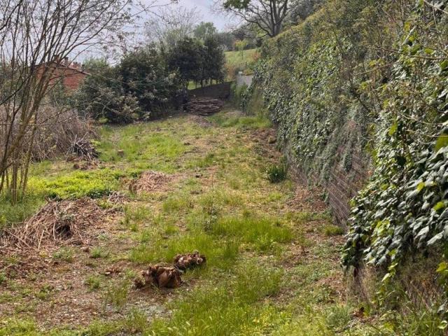 Terreno in vendita a Cinto Euganeo