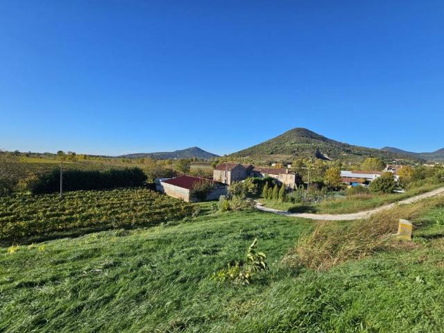 Terreno in vendita a Cinto Euganeo