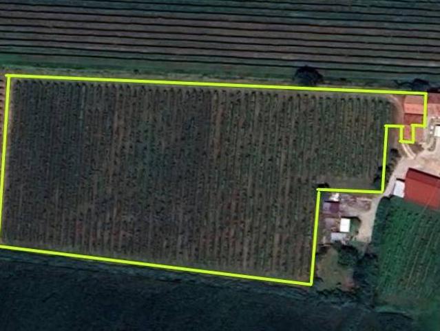 Terreno in vendita a Cinto Euganeo