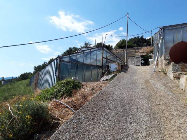Terreno in vendita a Moiano, Cipressa