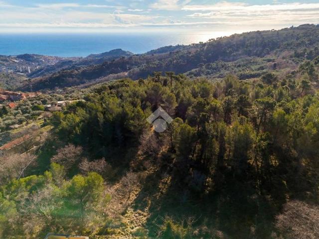 Terreno in vendita a Cipressa, Liguria