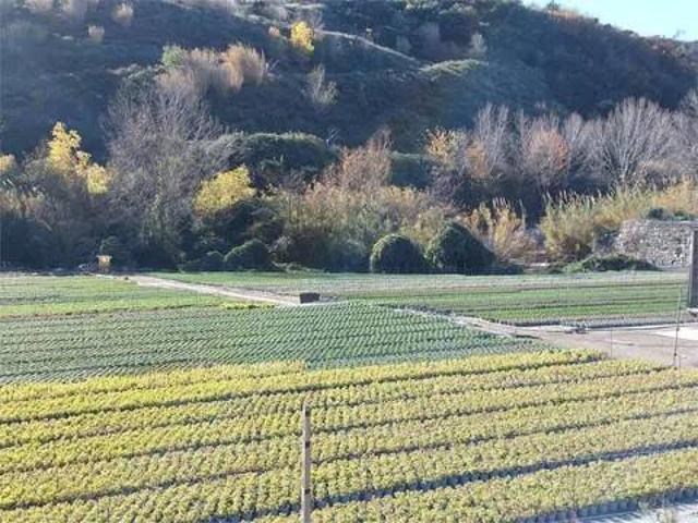 Terreno in vendita a Cisano Sul Neva, Liguria