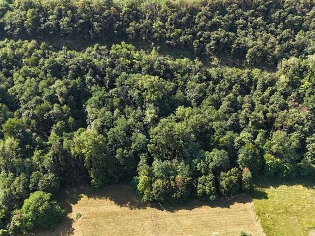 Terreno in vendita a Cison Di Valmarino, Veneto
