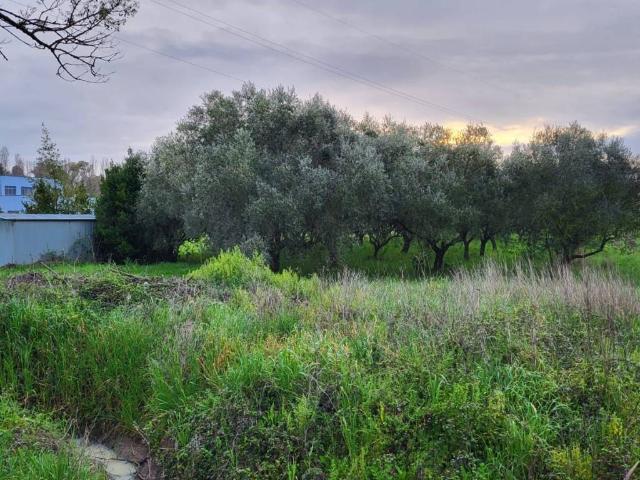 Terreno in vendita a Cisterna Di Latina, Lazio
