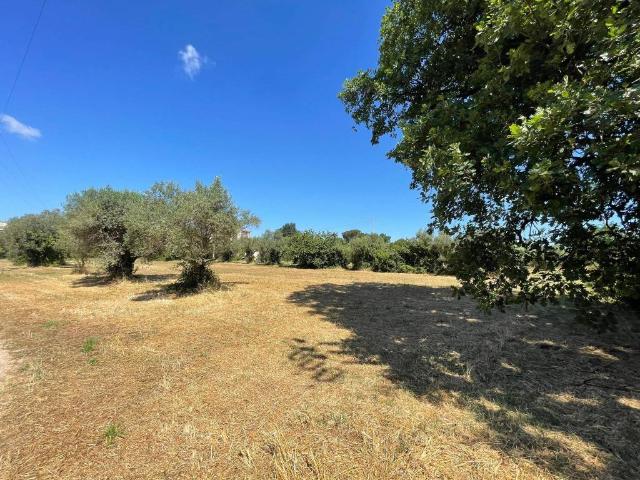 Terreno in vendita a Cisterna Di Latina, Lazio